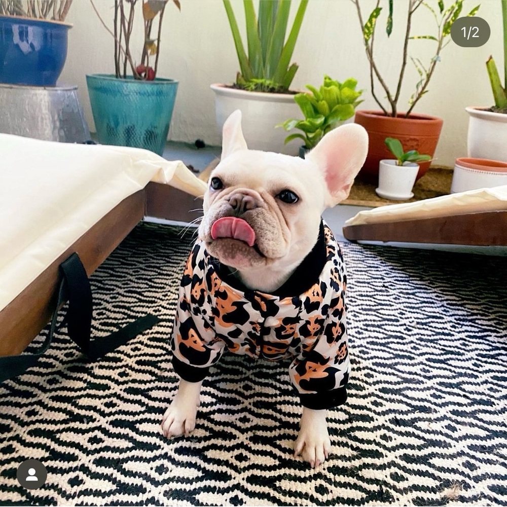 Dog Fleece Bomber in Leopard sz XL